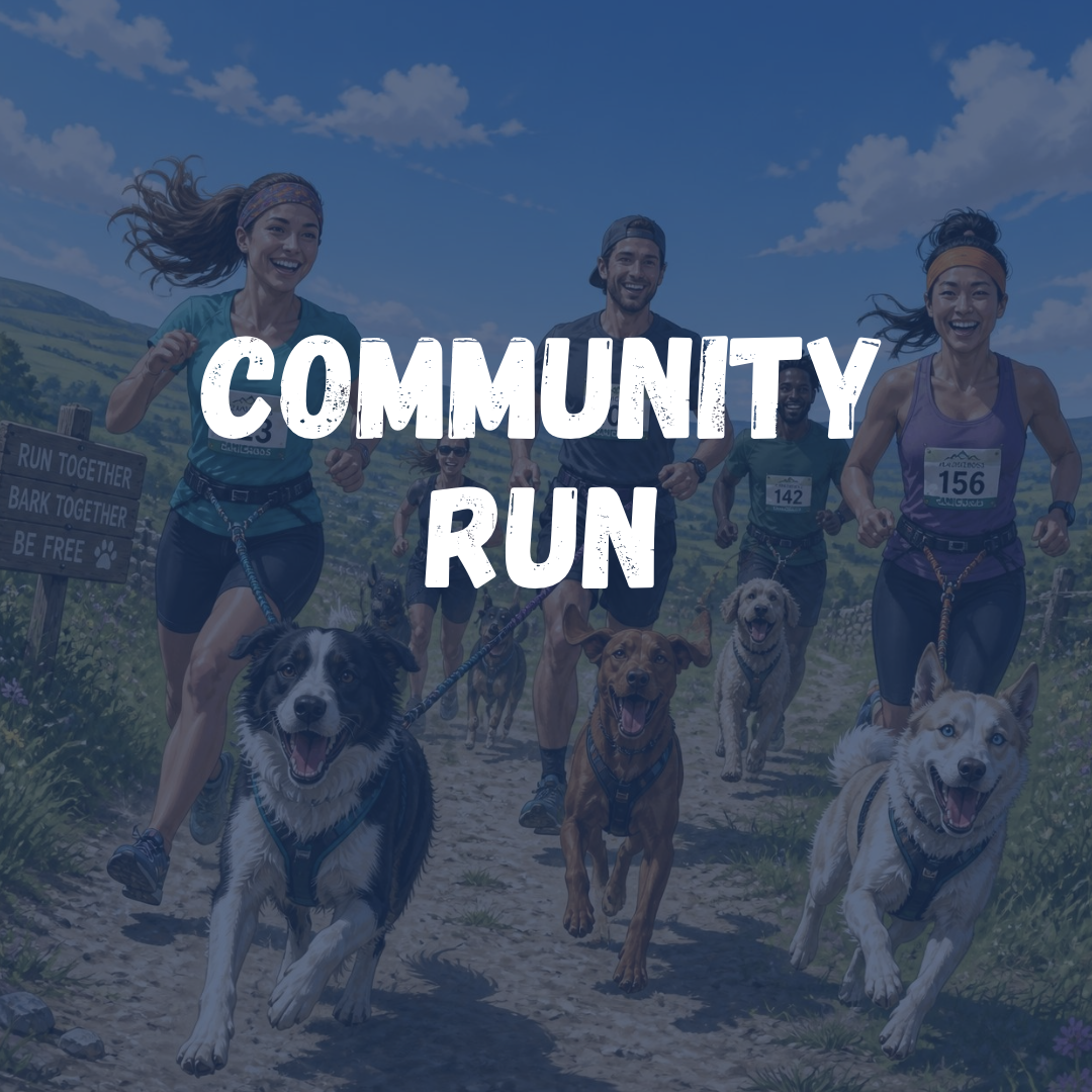 Canicross Community Run mit Hund auf einem Waldweg